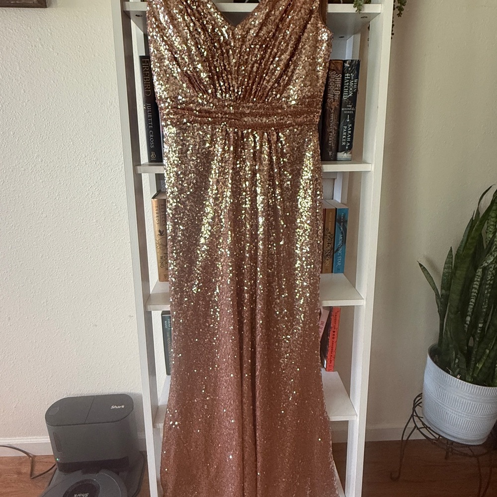 Revelry Elegant rose gold Dress